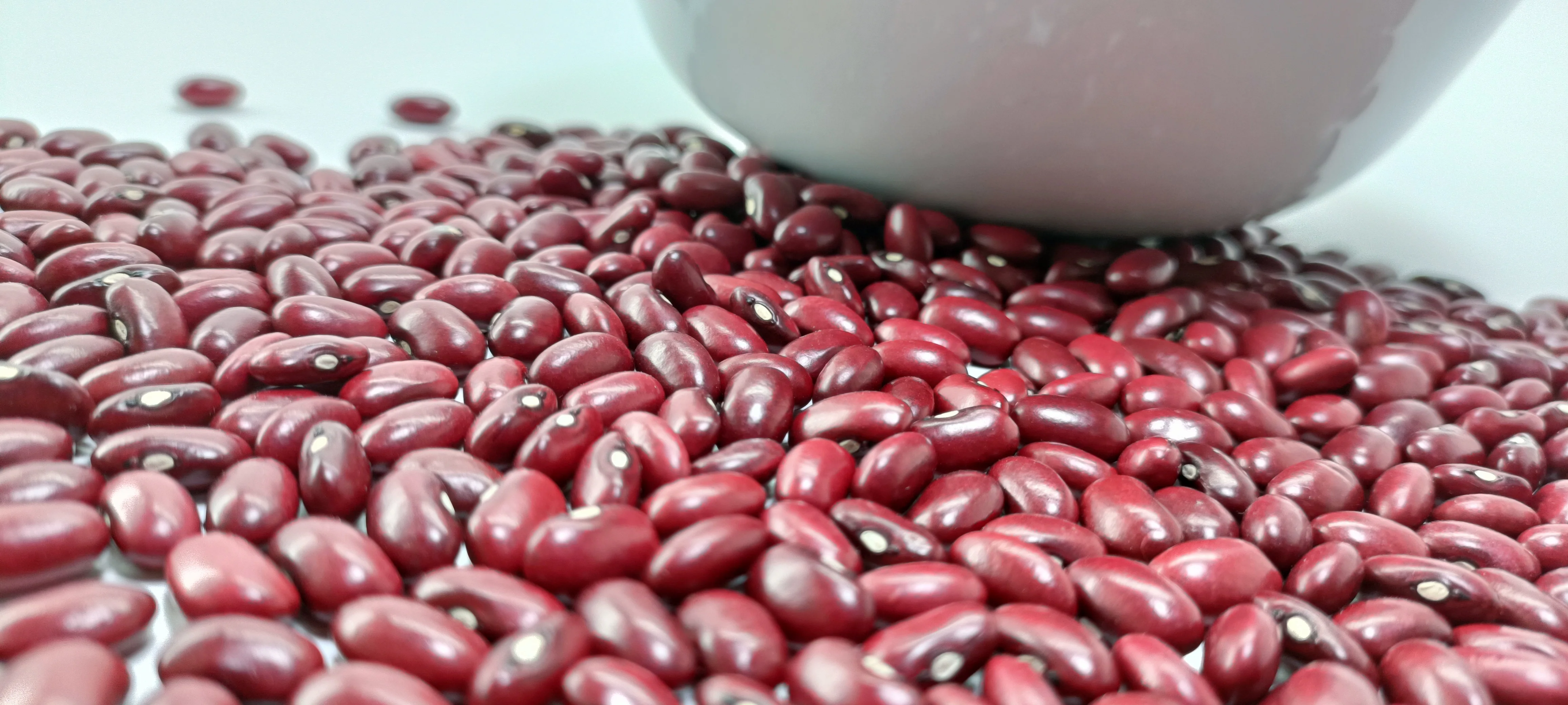 Fresh Crop 2024 Color Sorter Machine Top Grade Red Kidney Beans,Bulk ...