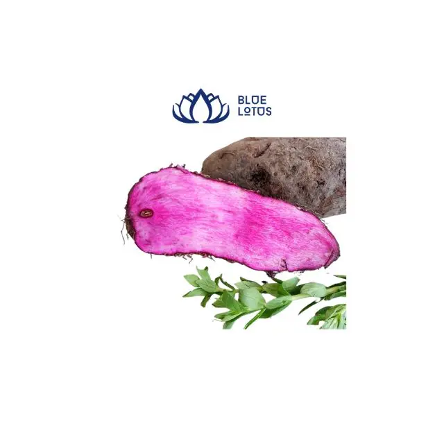 Exporting From Vietnam With Best Price for Purple Yam