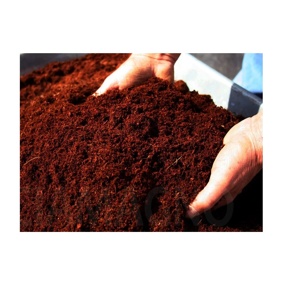 Wholesale Bulk Coconut Coir Pith Coco Peat Blocks Buy Hot Sale