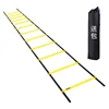 Agility Ladder