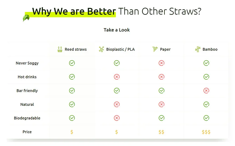 Reed Straws Wholesale