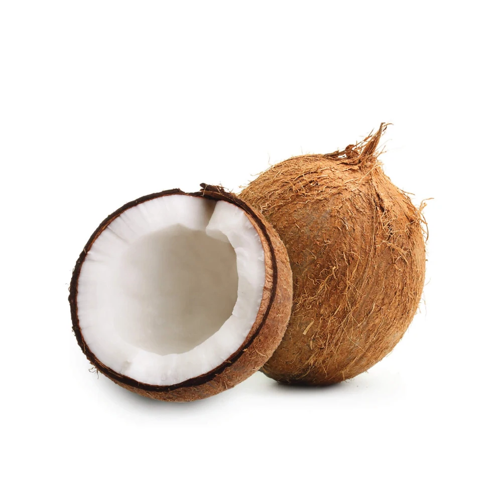 Fresh Indian Semi Husked Coconut Available Wholesale Price - Buy ...