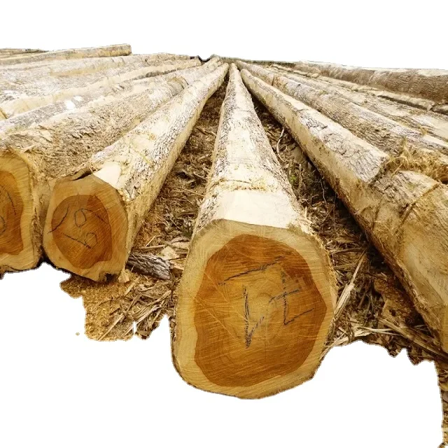 Teak Wood Logs At Best Price Solid Timber Logs Red Color Type Suitable
