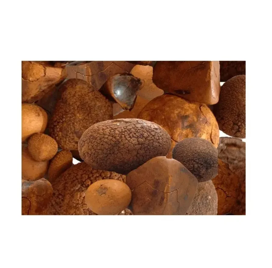 2024 Block Sheep Packaging Color Pure Material Shelf Raw cattle gallstone ox gallstones and best quality cow bezoar for sale