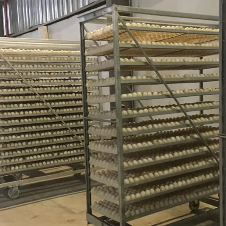 Cheap High Quality Hatcher Automatic Incubator Egg Incubator for Sale Full Automatic From Asia Manufacturer