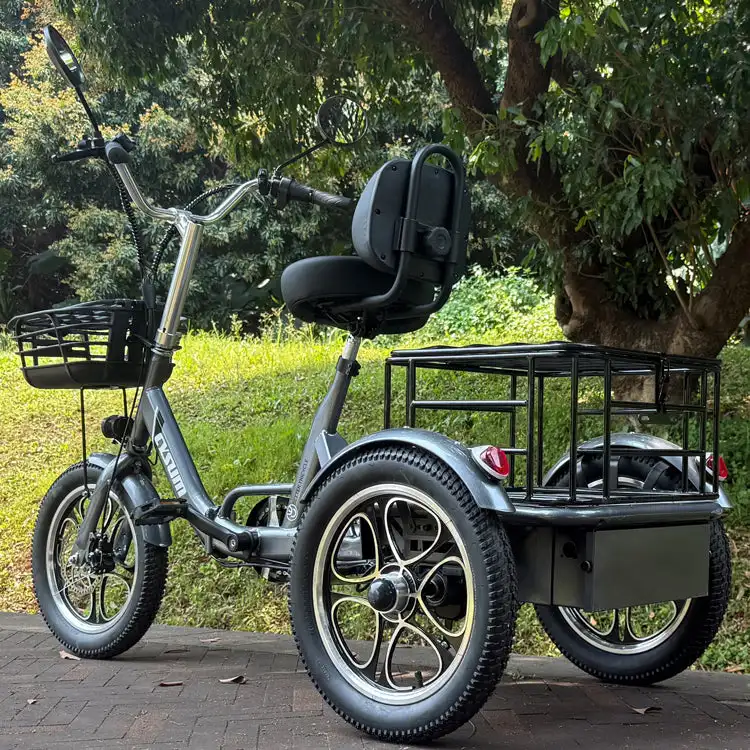 48v 350w Rear-Drive Foldable Cargo E-Trike Top Speed 25km/h 16 Inch Tire Electric Trike with Steel Body Open and Closed Type
