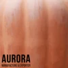 Terracotta color