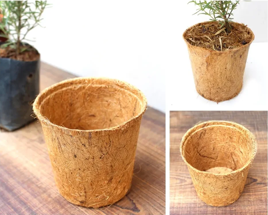 Vietnam Coconut Fiber Coir Pot For Gardening Farming Flower Cultivation With High Quality And 5435