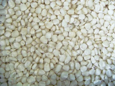 Organic Corn Non-GMO for Animal Feed Yellow Maize Wholesale Price
