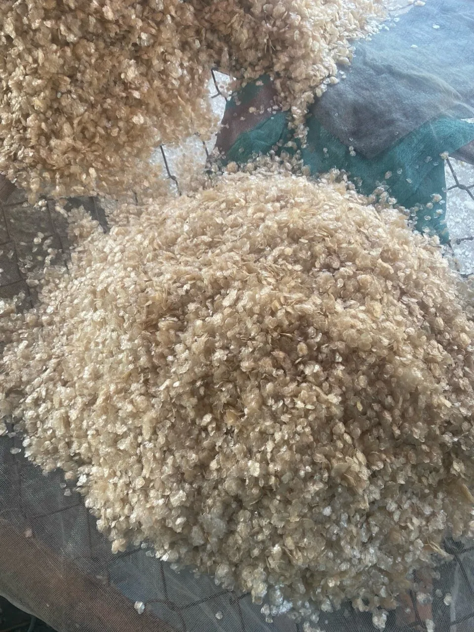 The Best Price Fish Scales From Vietnam -  FISH SCALES POWER - Fish Scales: Types and Functions and Uses  Ms. Lily