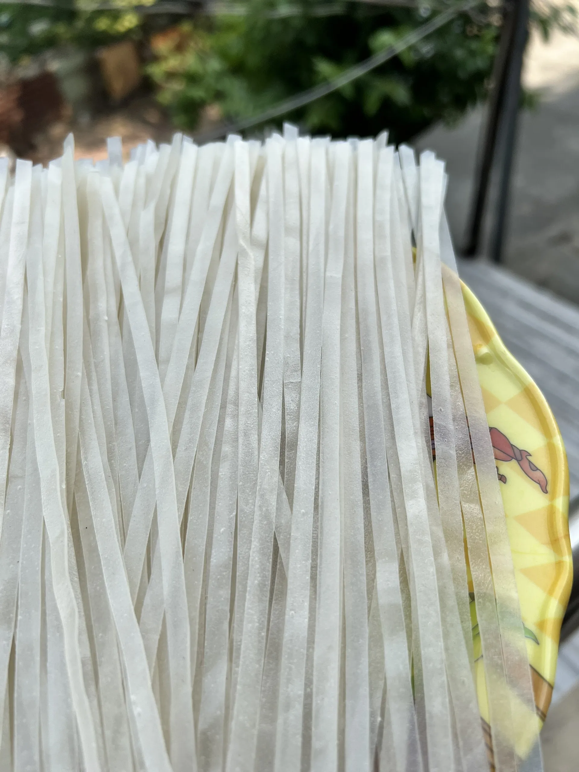 Vietnam Instant Rice Noodle For Pho Noodle Cheapest Price With