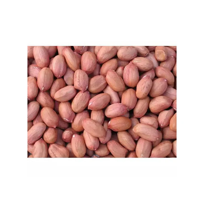 Wholesale Cheap Raw Peanuts Nuts Packing Bulk Dried Peanut Kernel Buy