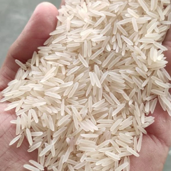 rice2.jpg
