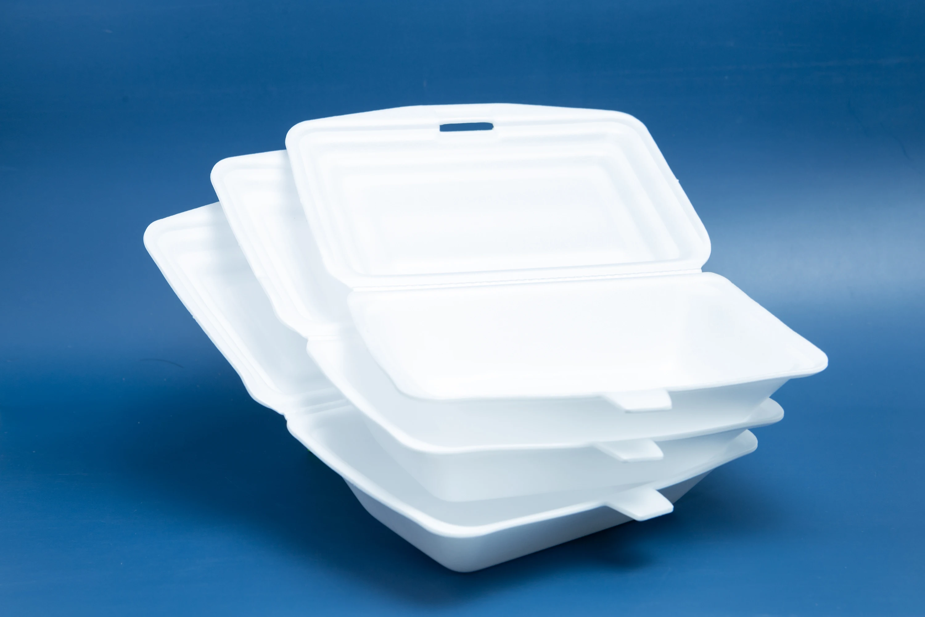 Three Compartments Disposable Ps Foam Food Container High Quality For Food/ Fruit Japan Standard