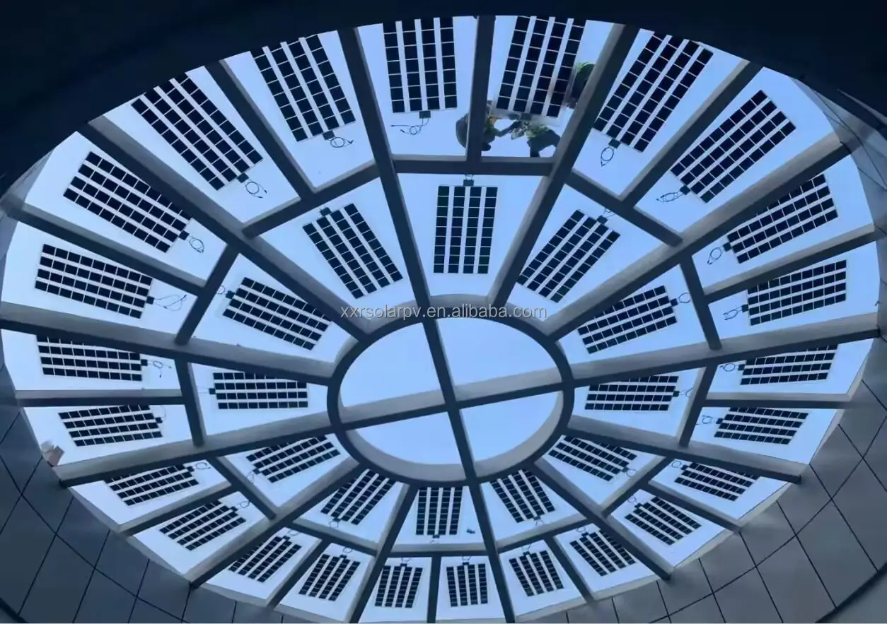 New Arrival Customized Flower Shape Sunpower Solar Panel 55V 330W Fiore Fotovoltaico Prezzo Pannelli Solare