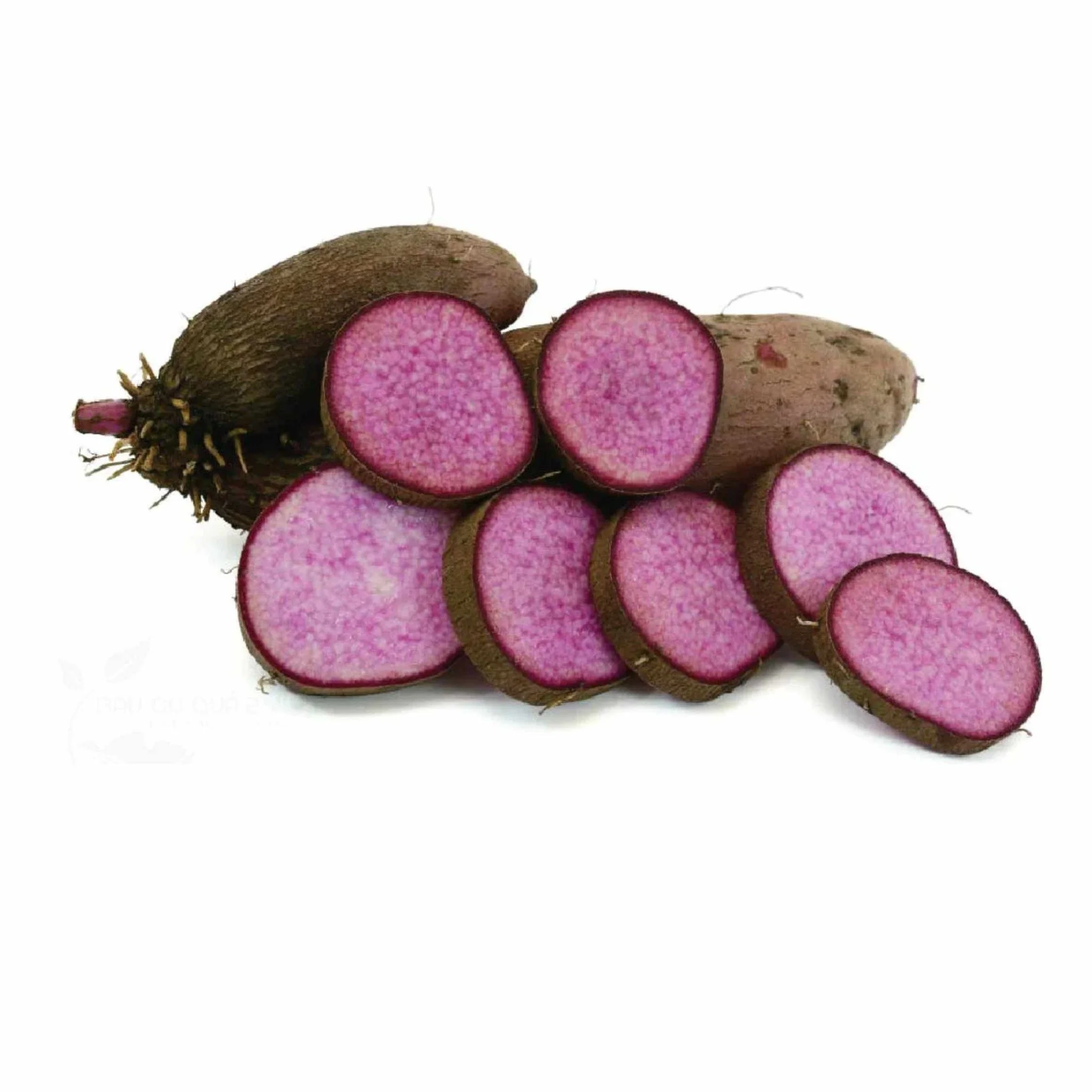 ORGANIC PURPLE YAM POWDER / NUTRITIOUS and VIBRANT COLOR / MADE in VIETNAM