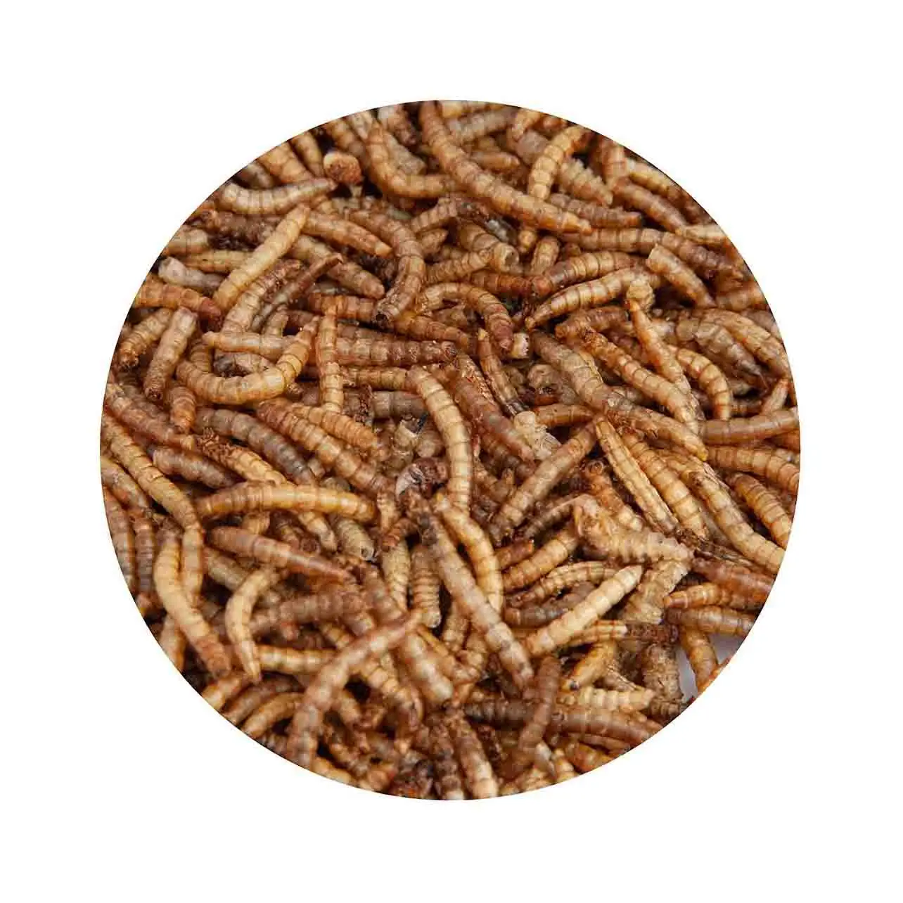 Dried Meal Worms/mealworms For Poultry Feed Animal Buy Meal Worms
