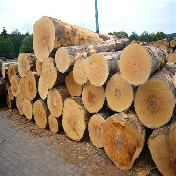 Eucalyptus Wood Log Buy Hot Saleeucalyptus Wood Logs At Cheap Price