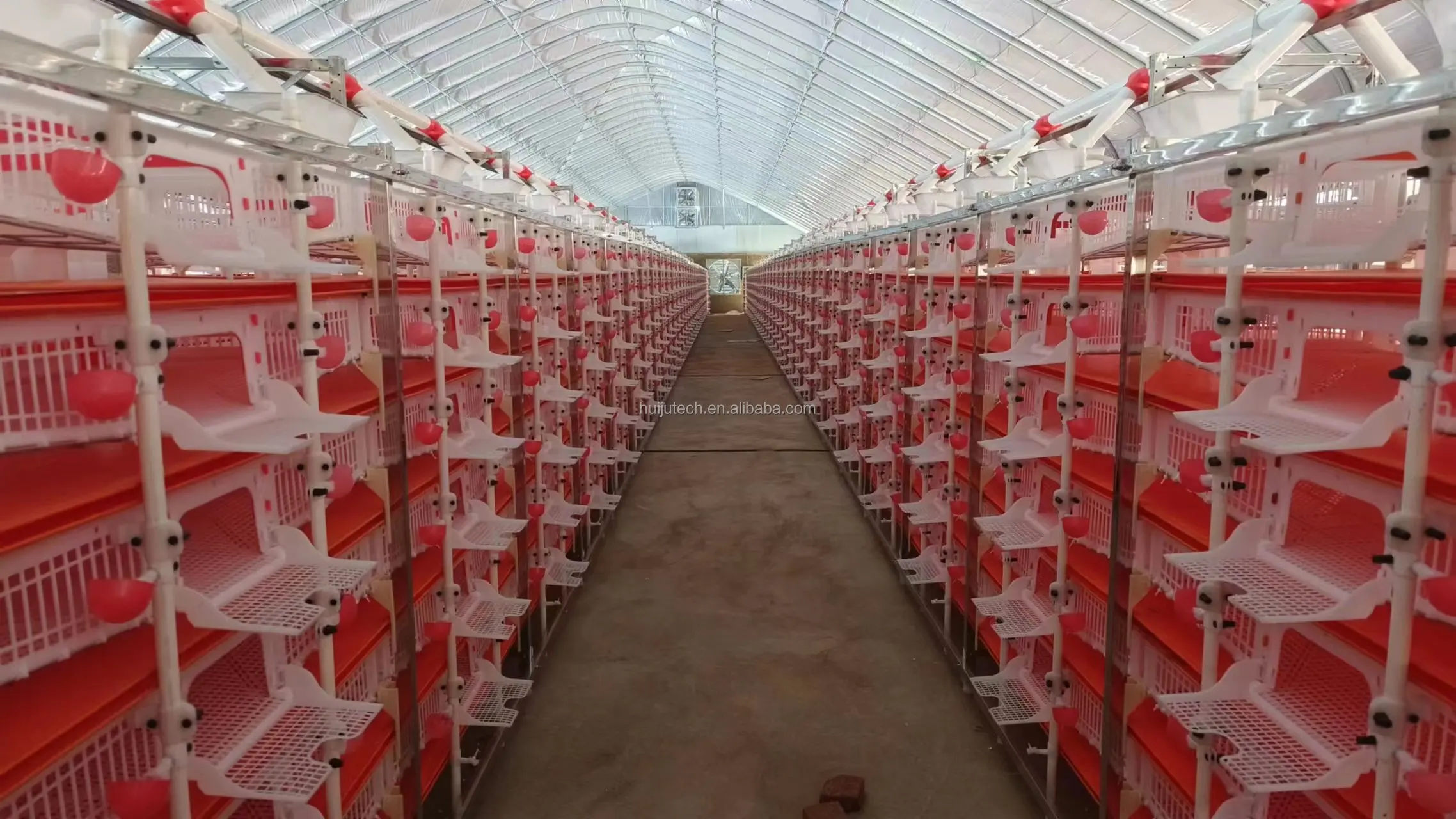 H Type Farming Layer Quail Cage/plastic Quail Cages For Egg Production