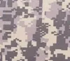 Pixel