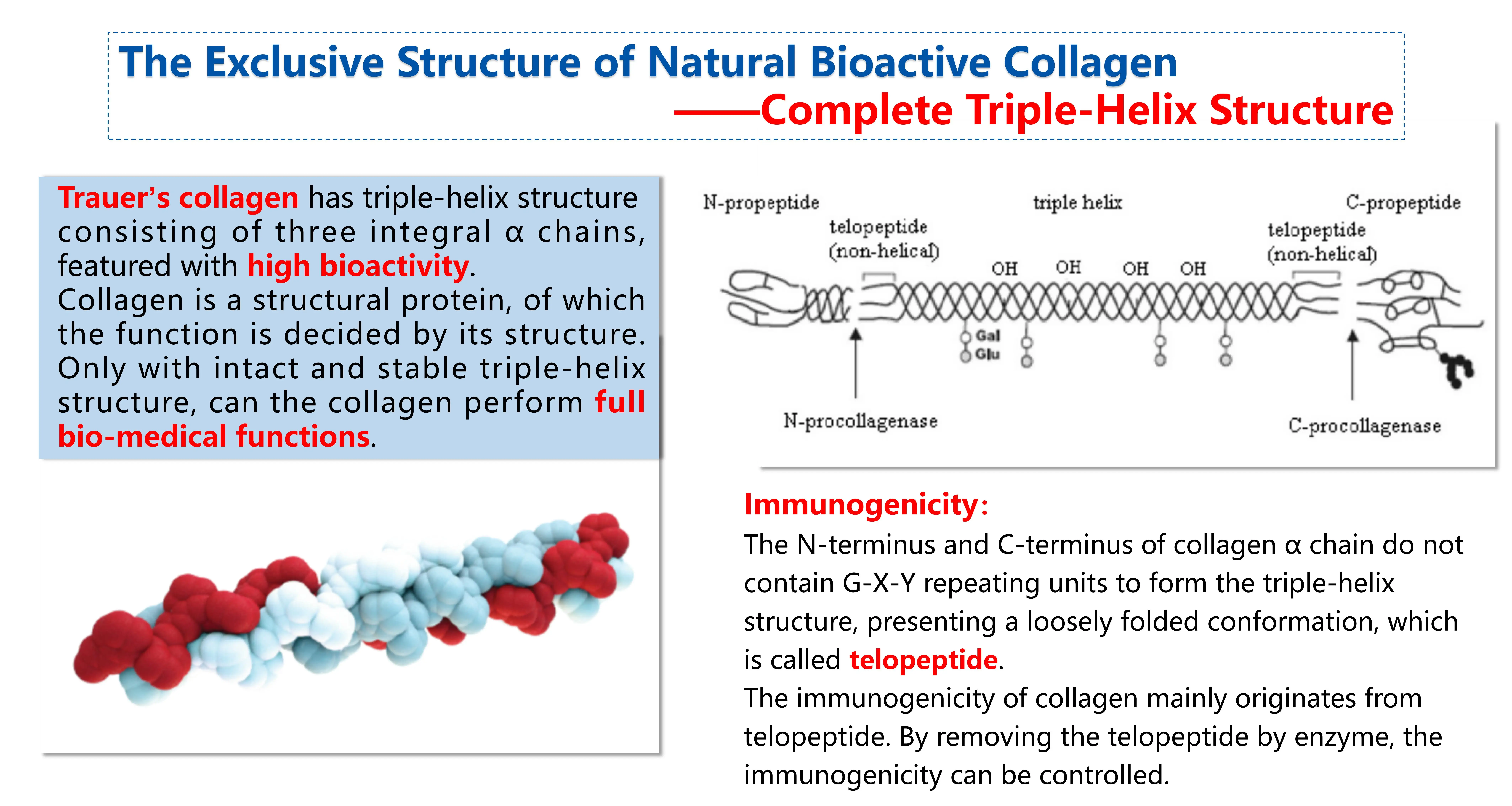 Trauer Collagen Sodium Hyaluronate Essence for All Skintypes