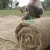 Natural Jute Color
