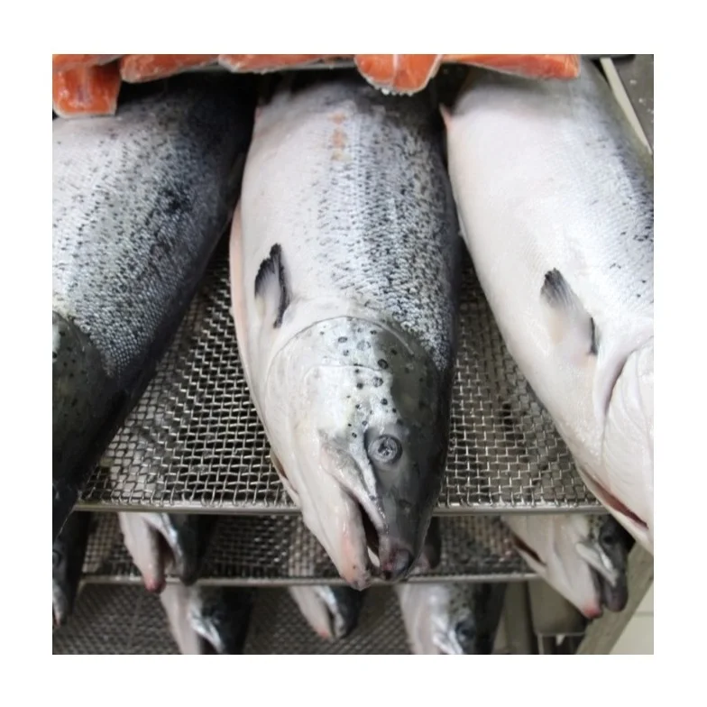 Оптовая продажа замороженных рыб лосося/Тихоокеанского лосося
