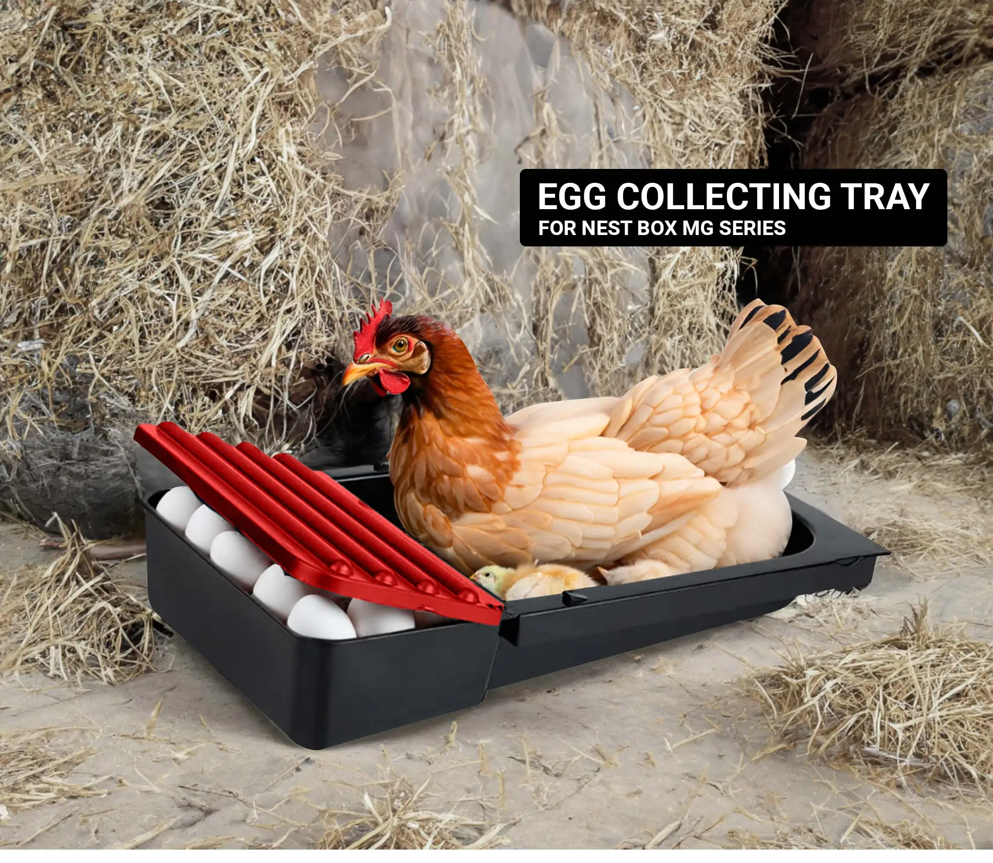 Nestomatic Roll Away Nest Box Egg Collecting Tray With Good Ventilation