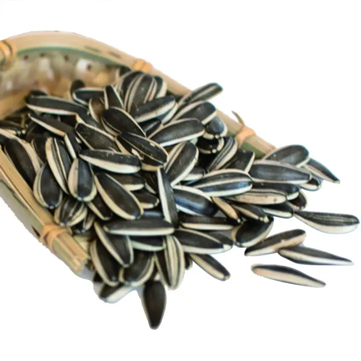 Different Types Of Sunflower Seeds / Sun Flower Seeds Kernel Buy