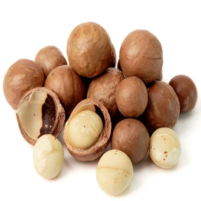 Hot Seller 2023 New Crop Macadamia Nuts In Shell Cheap Price