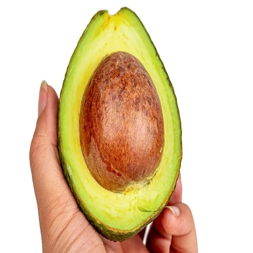 Fresh Avocado with Global Certifications Exporter