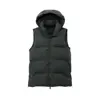 Customize Color