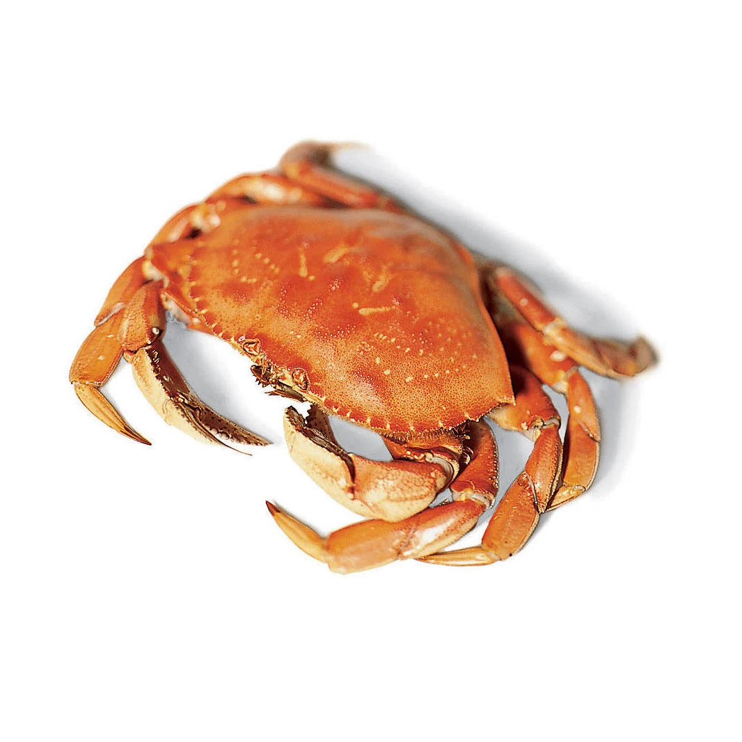 Fresh Red King Crab Fresh/frozen/live Red King Crabs Buy Soft Shell Crab Haft Cut Frozen Iqf