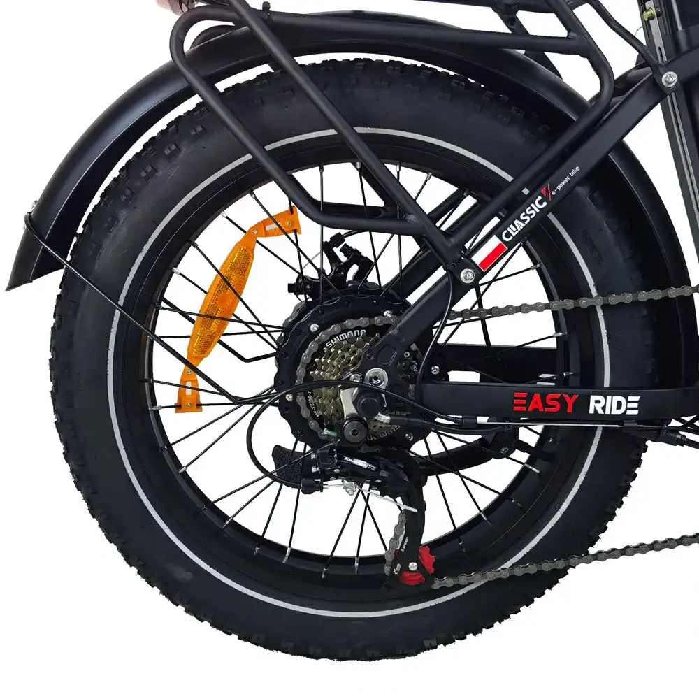 BAOLUJIE DZ-2030 20 vélo de ville électrique à enjambement bas 500W Moteur 48V 13Ah Batterie