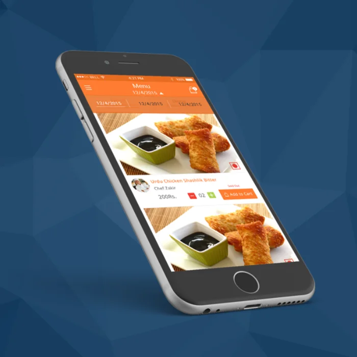 Электронные услуги Protolabz | Компания по развитию приложения для доставки продуктов в