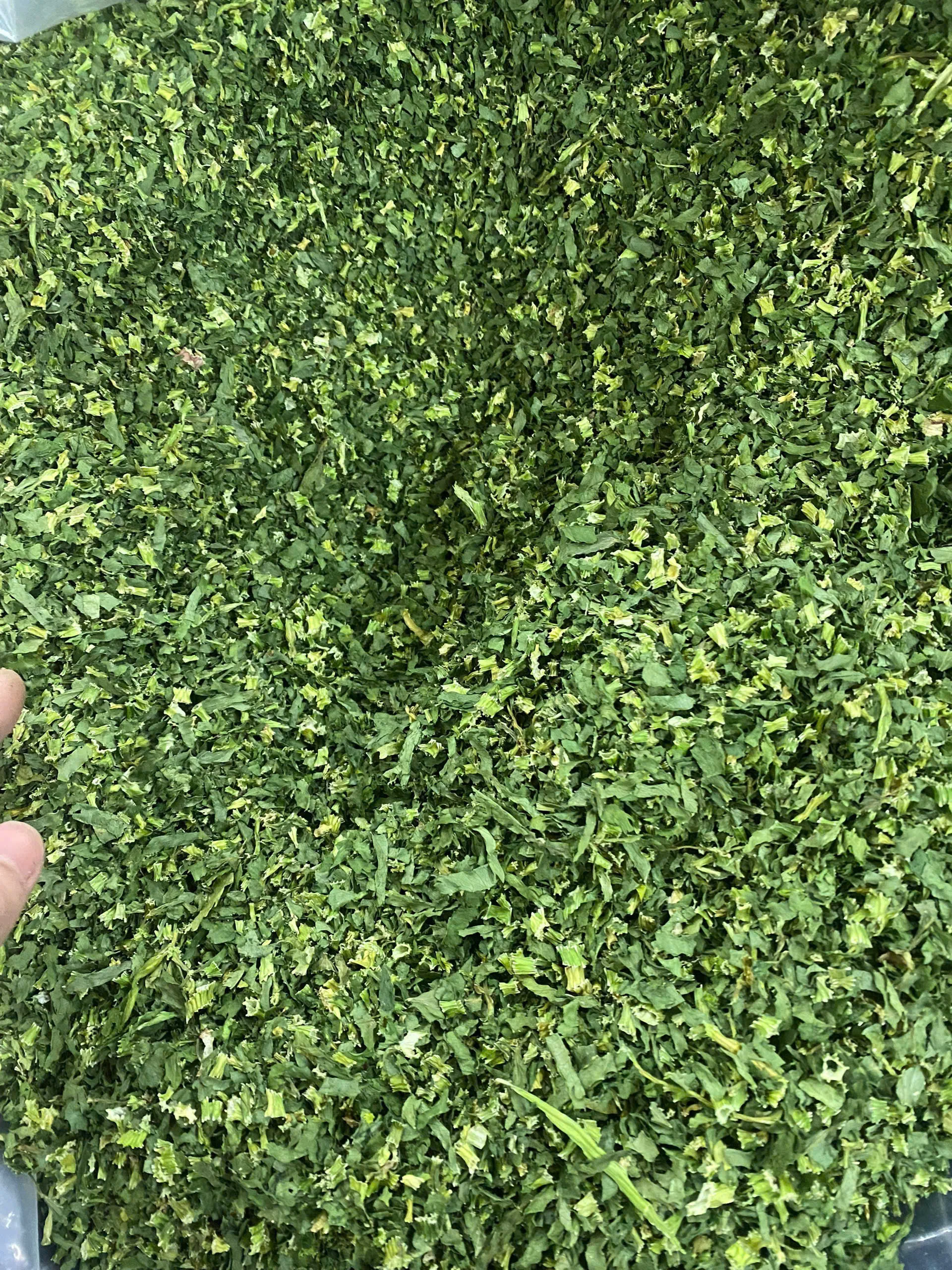 Ground Dried Celery Leaves Flake for Food Ingredient and Dressing Organic Vegetable Air-Drying