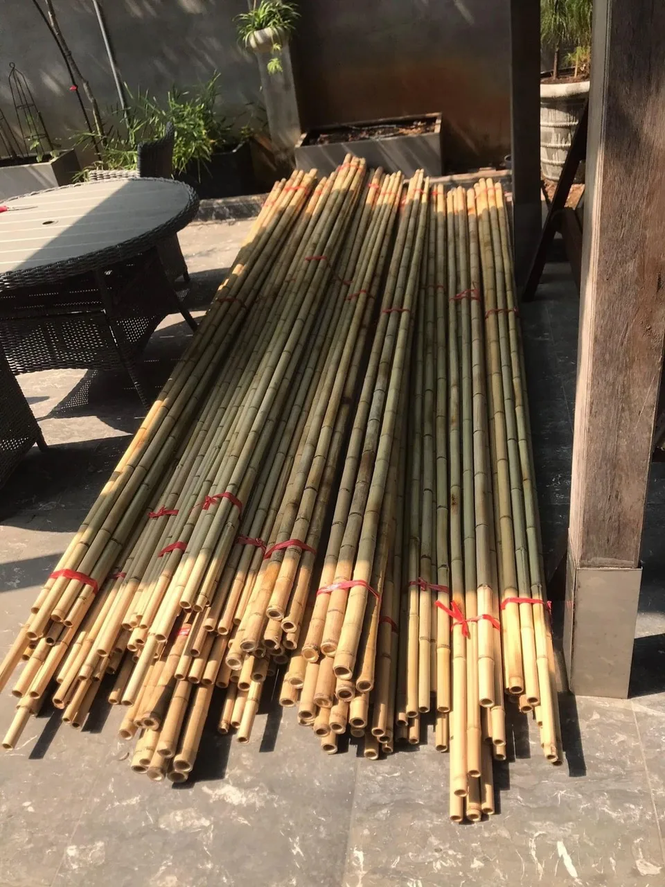 Bamboo Poles Nature Raw Bamboo Poles Straight Pole Bamboo From Planted