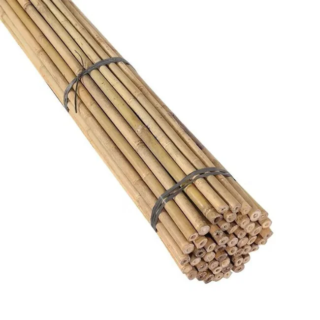 Vietnam Bamboo Poles Cane For Garden Cheap Price Natural Bamboo Poles 