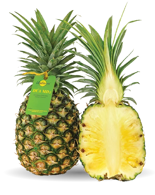 Fresh Pineapple From Austria For Export With Competitive Price And ...