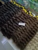 Brown 1