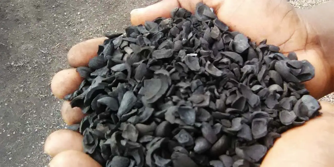 Alibaba.com: Palm Kernel Shells Charcoal for Activated Carbon, 100% ...