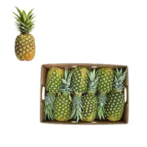 100% Pure Natural Agriculture Fresh Pineapple Premium High Quality Export to France Sweet Fresh Pineapple