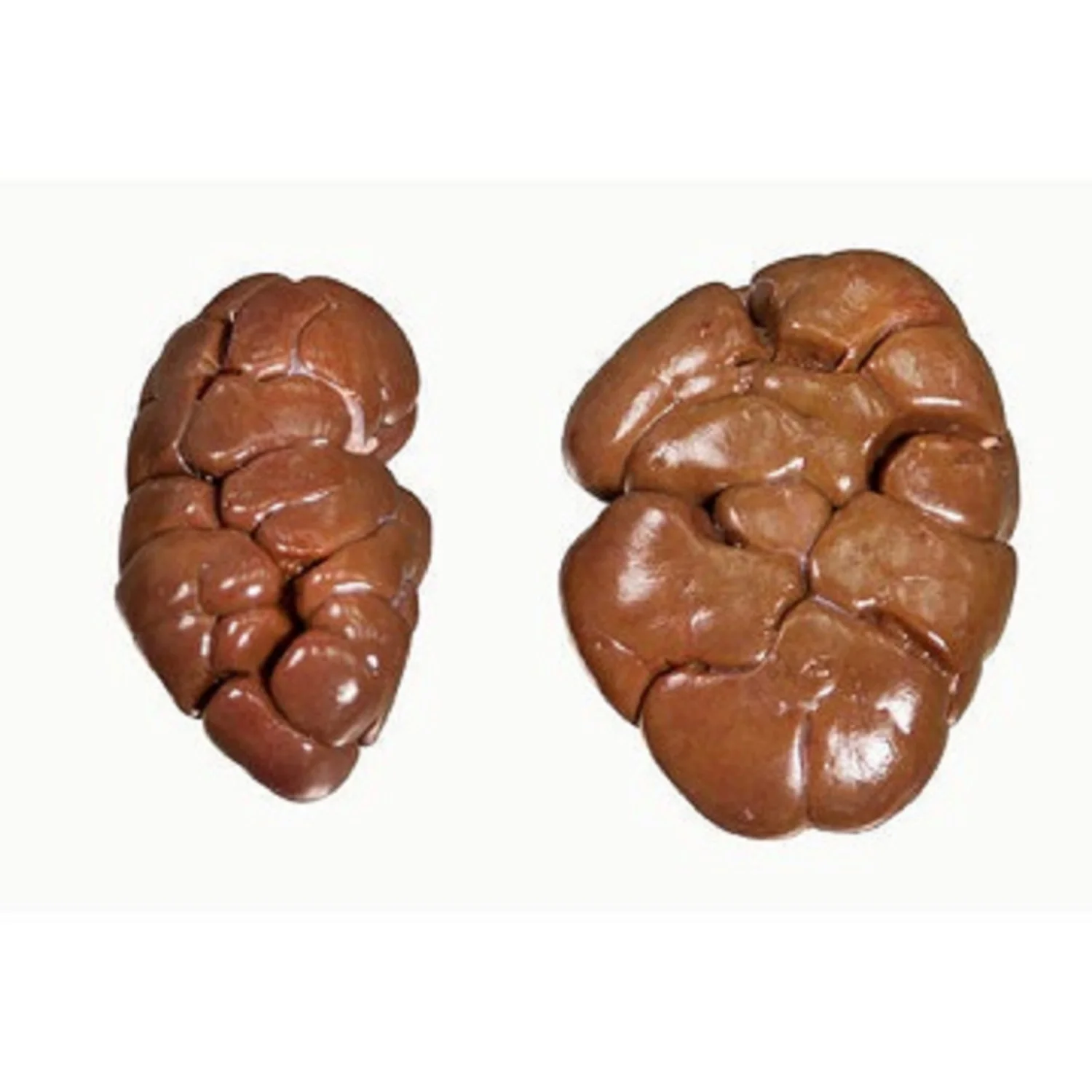 Frozen Clean Beef Carcasses, Beef-Cuts, Beef Liver, Tail,Kidney