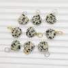 Jaspe dalmatien