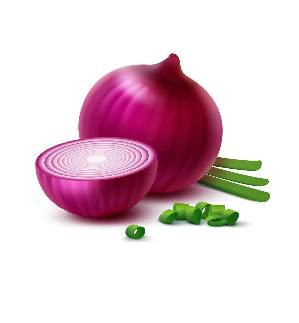 Wholesale Supplier Of Organic Red Onion / Fresh Yellow Onions Bulk Quantity Ready For Export