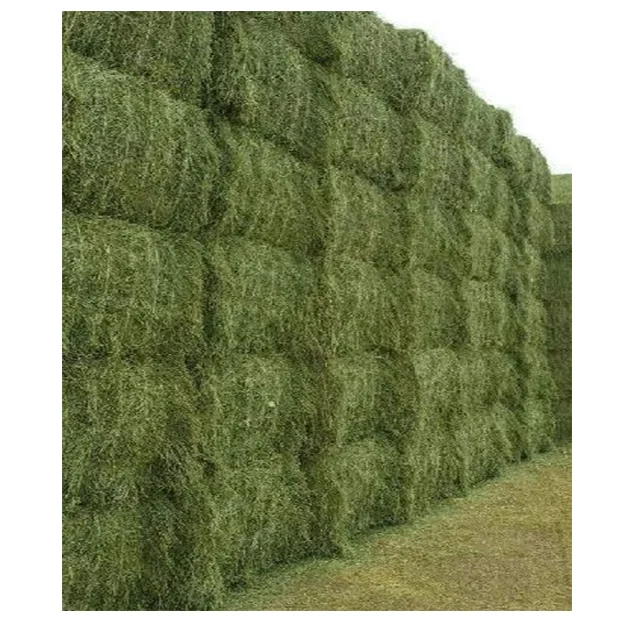 Buy Organic Alfalfa Grass Hay/ Alfalfa Hay Pellets for Animal Feed for Sale Bulk