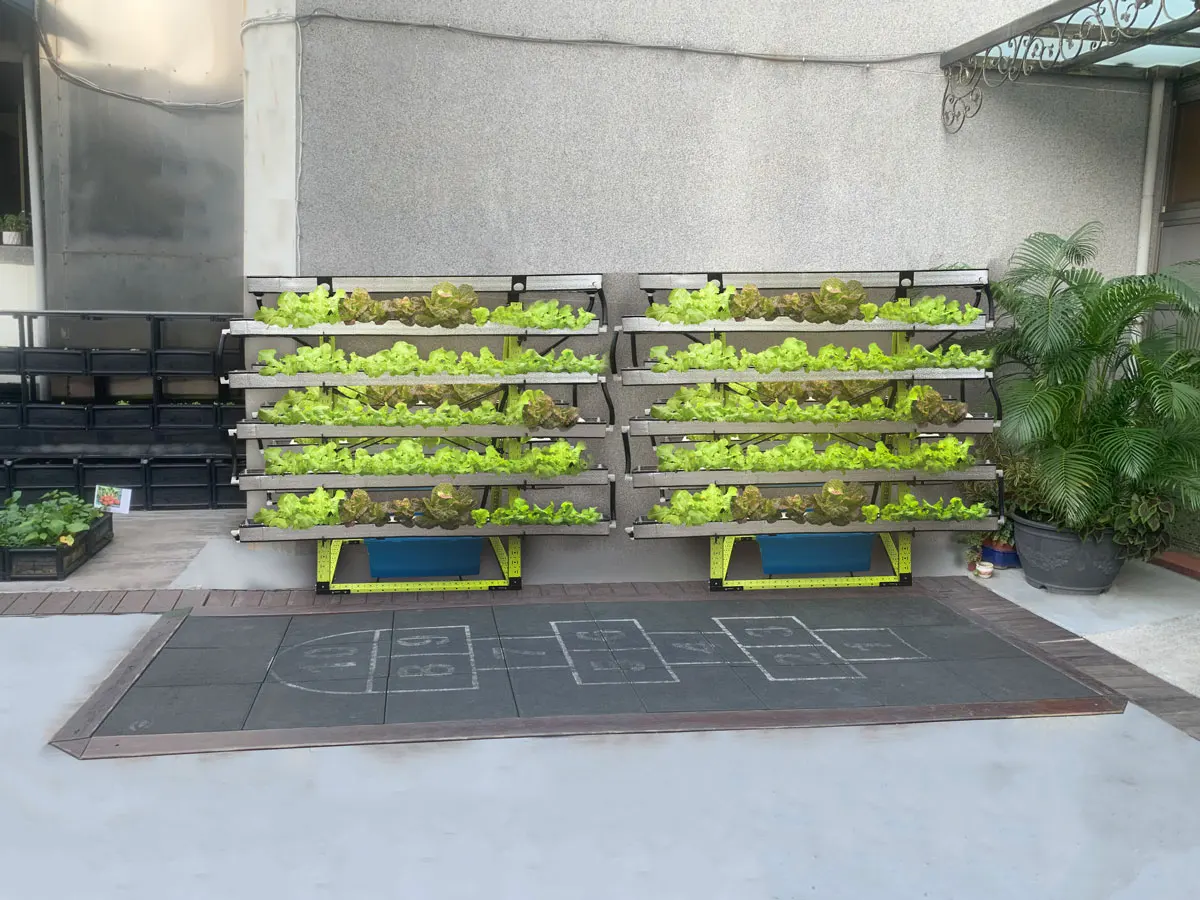 Styrofoam Box For Hydroponics Buy Vertical Garden Stand For Office