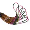 Multicolore