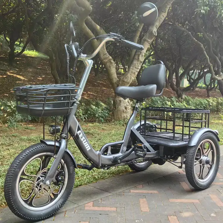 48v 350w Rear-Drive Foldable Cargo E-Trike Top Speed 25km/h 16 Inch Tire Electric Trike with Steel Body Open and Closed Type