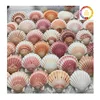 สีธรรมชาติ